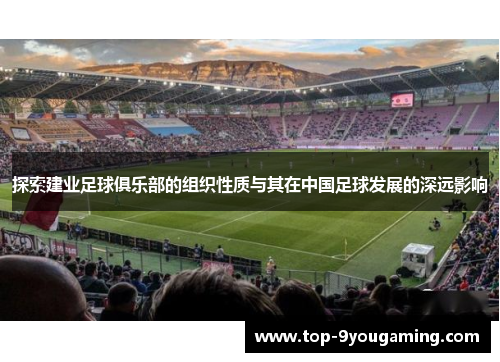 探索建业足球俱乐部的组织性质与其在中国足球发展的深远影响