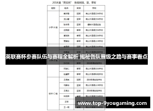 英联赛杯参赛队伍与赛程全解析 揭秘各队晋级之路与赛事看点