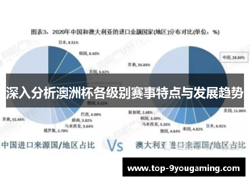 深入分析澳洲杯各级别赛事特点与发展趋势